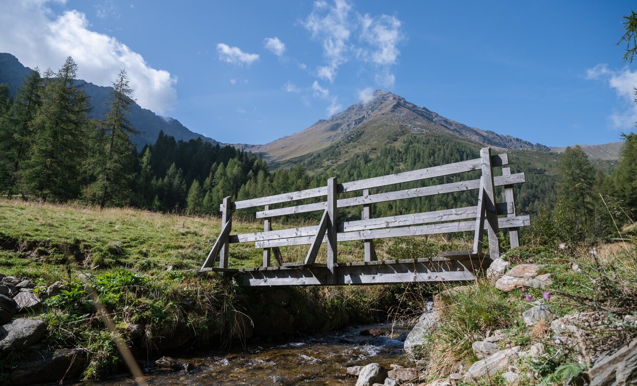 Bach entlang des Weges zur Malga Cercen | © Giacomo Podetti, APT - Valli di Sole, Peio e Rabbi