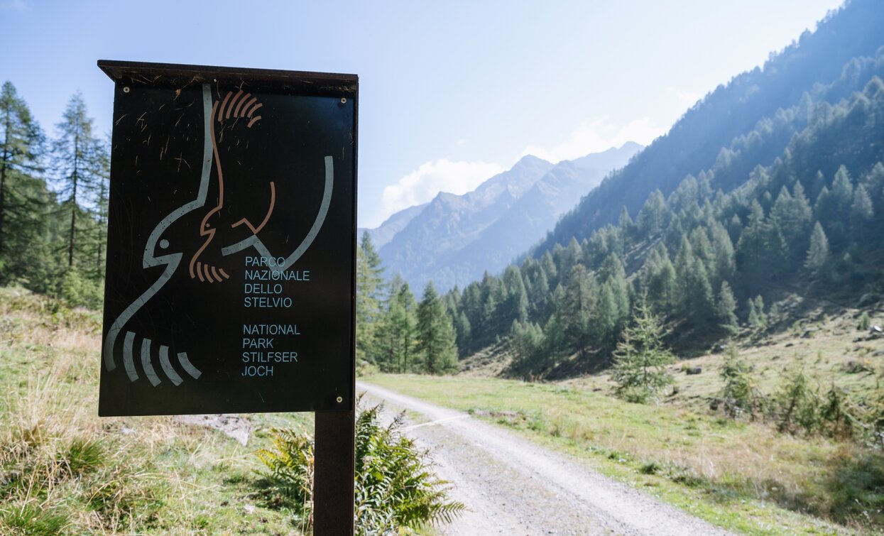 Wanderung im Nationalpark Stilfserjoch | © Giacomo Podetti, APT - Valli di Sole, Peio e Rabbi