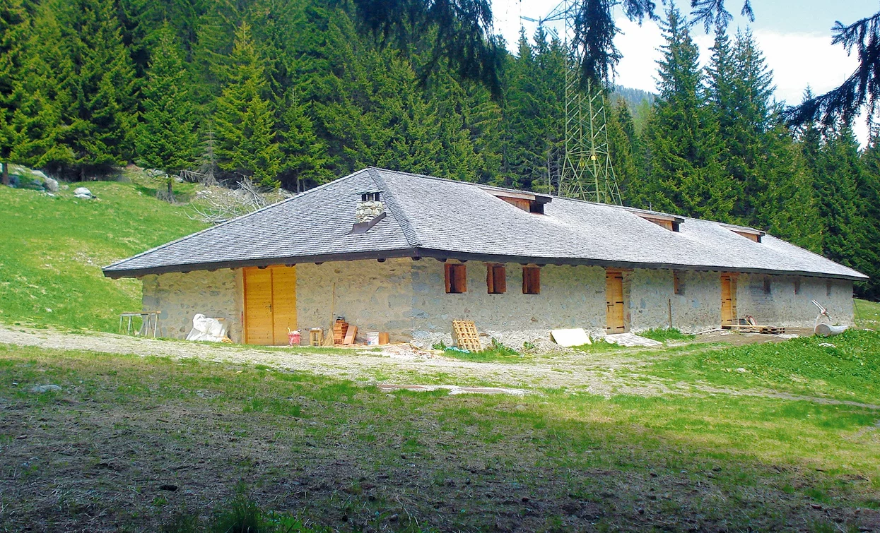 Malga Pecè | © Archivio Apt Val di Sole,Peio e Rabbi, APT Valli di Sole, Peio e Rabbi