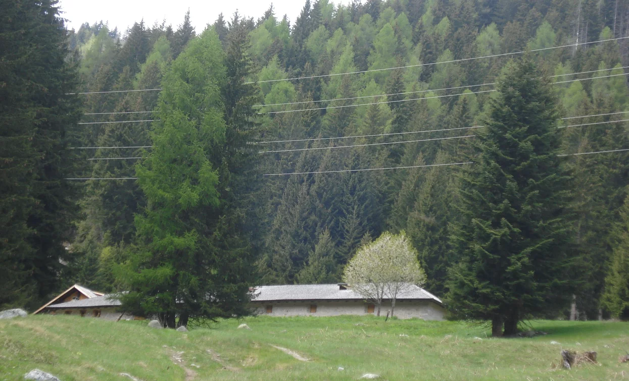 Malga Pecè | © Archivio Apt Val di Sole,Peio e Rabbi, APT Valli di Sole, Peio e Rabbi