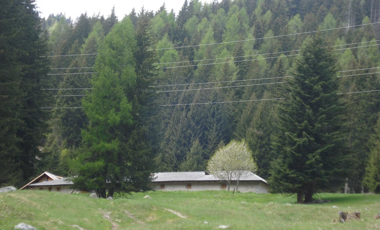 Malga Pecè | © Archivio Apt Val di Sole,Peio e Rabbi, APT Valli di Sole, Peio e Rabbi