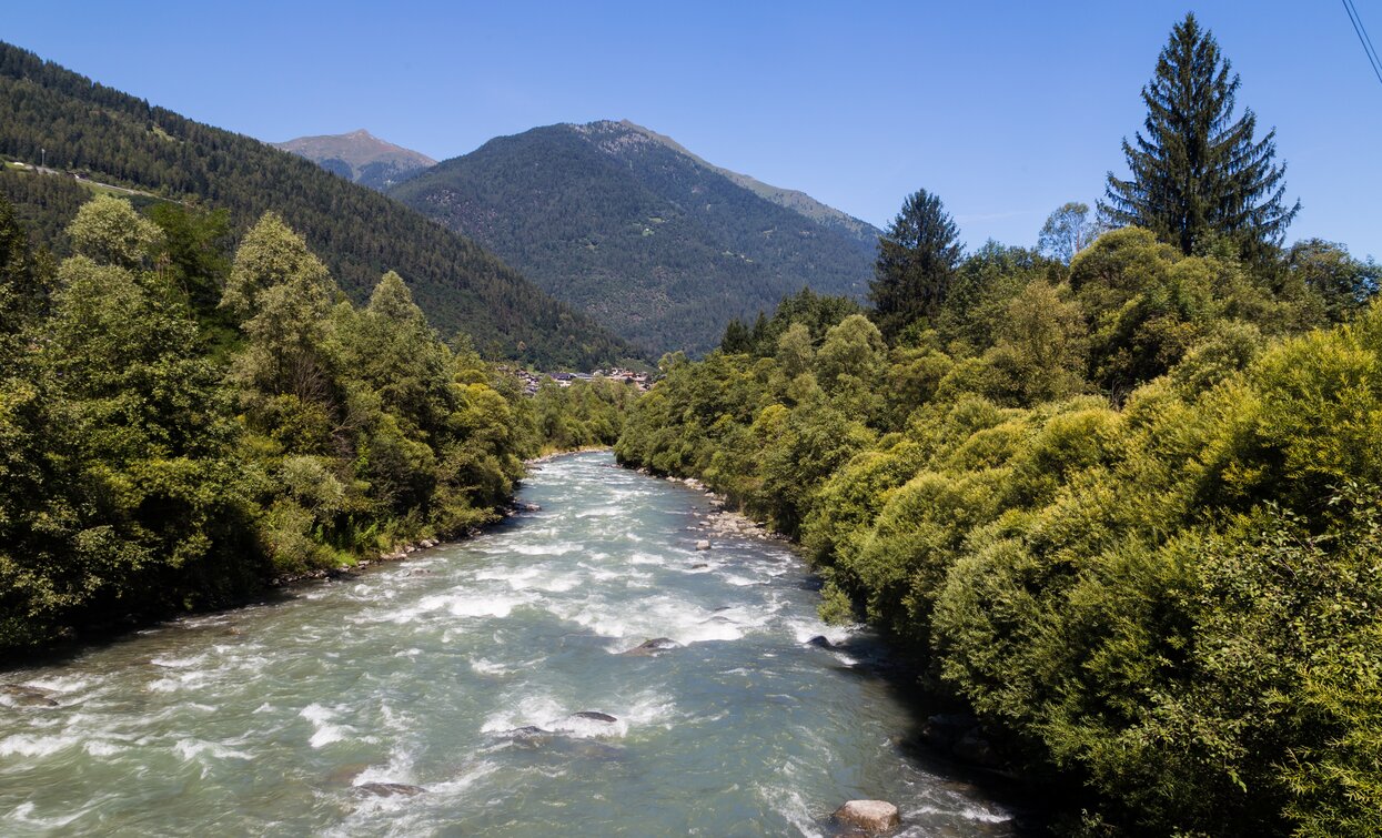 Fiume Noce | © Riccardo Meneghini, APT Valli di Sole, Peio e Rabbi