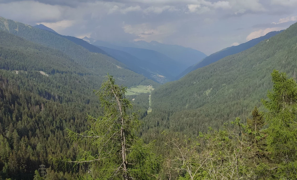 Punto Panoramico | © Archivio Apt Val di Sole,Peio e Rabbi, APT Valli di Sole, Peio e Rabbi