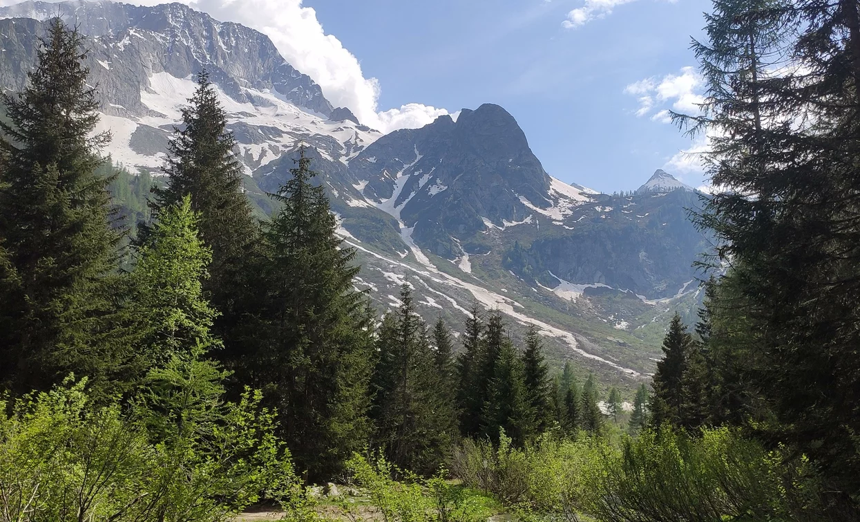 Punto Panoramico | © Azienda Turismo Val di Sole, APT Valli di Sole, Peio e Rabbi