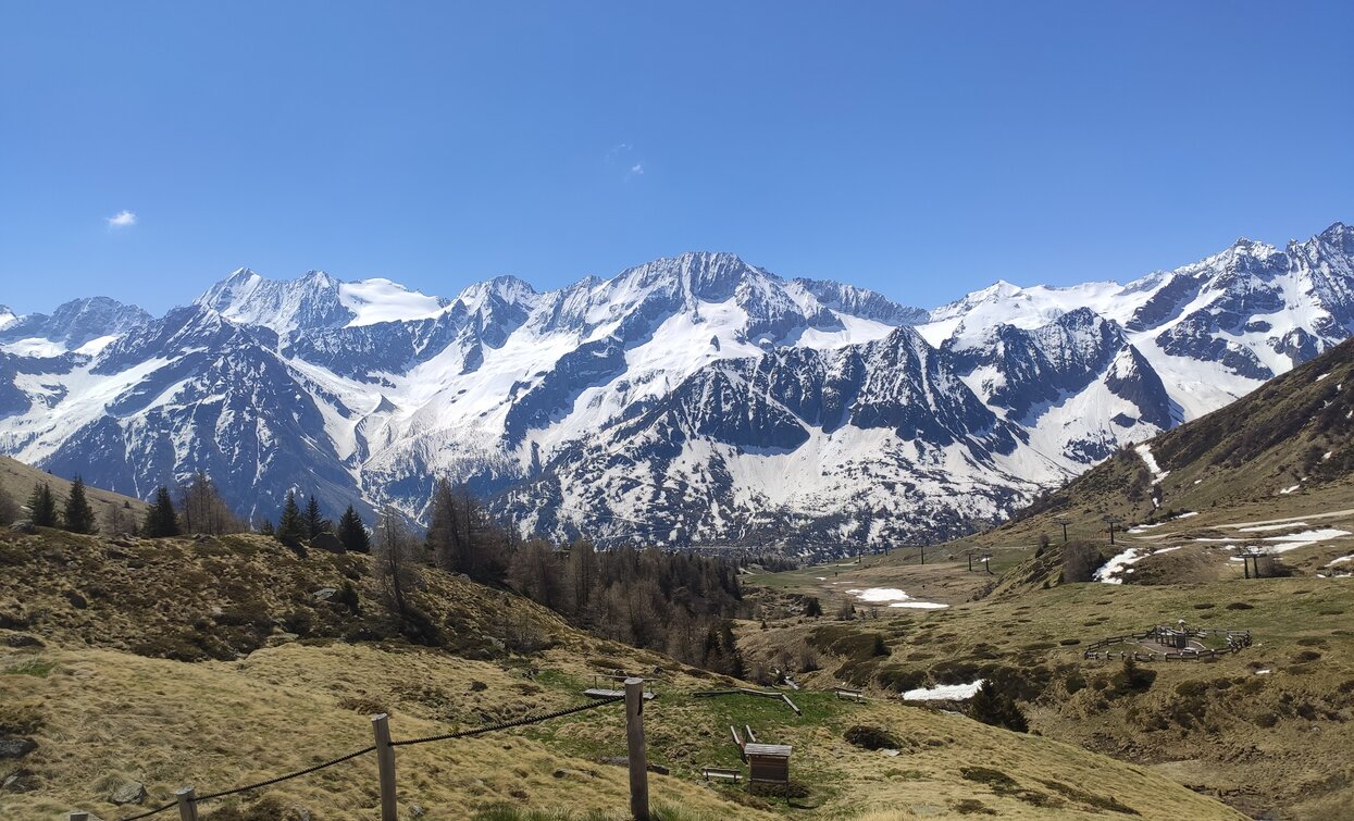 © Archivio Apt Val di Sole,Peio e Rabbi, APT Valli di Sole, Peio e Rabbi