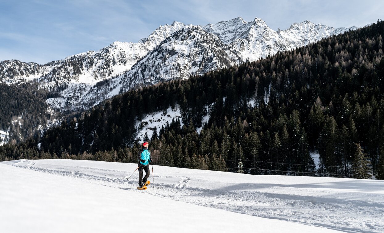 Velon - Pece | © Giacomo Podetti , APT Valli di Sole, Peio e Rabbi