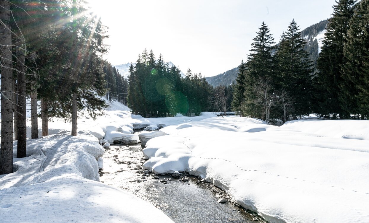 Vermigliana | © Giacomo Podetti , APT Valli di Sole, Peio e Rabbi