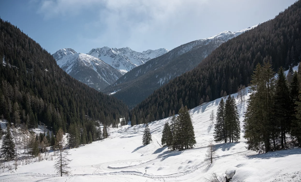 Panorama da Malga Stablasolo | © Elisa Fedrizzi , APT Valli di Sole, Peio e Rabbi