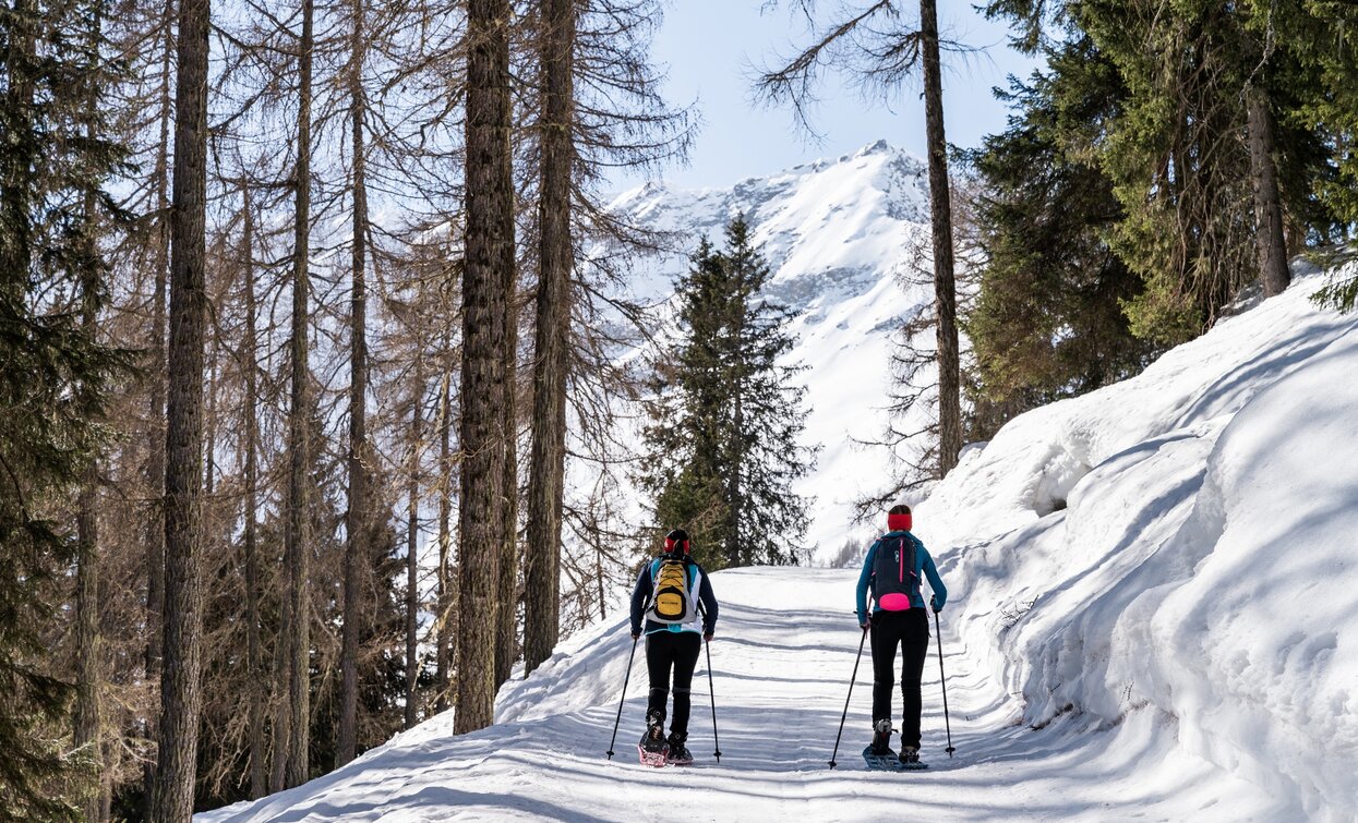 Rabbi Fonti - Malga Monte Sole | © Giacomo Podetti , APT Valli di Sole, Peio e Rabbi