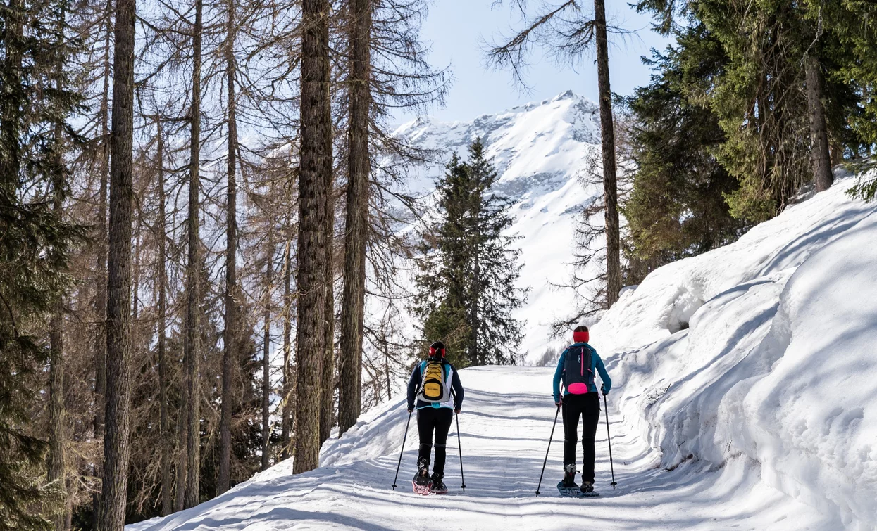 Rabbi Fonti - Malga Monte Sole | © Giacomo Podetti , APT Valli di Sole, Peio e Rabbi
