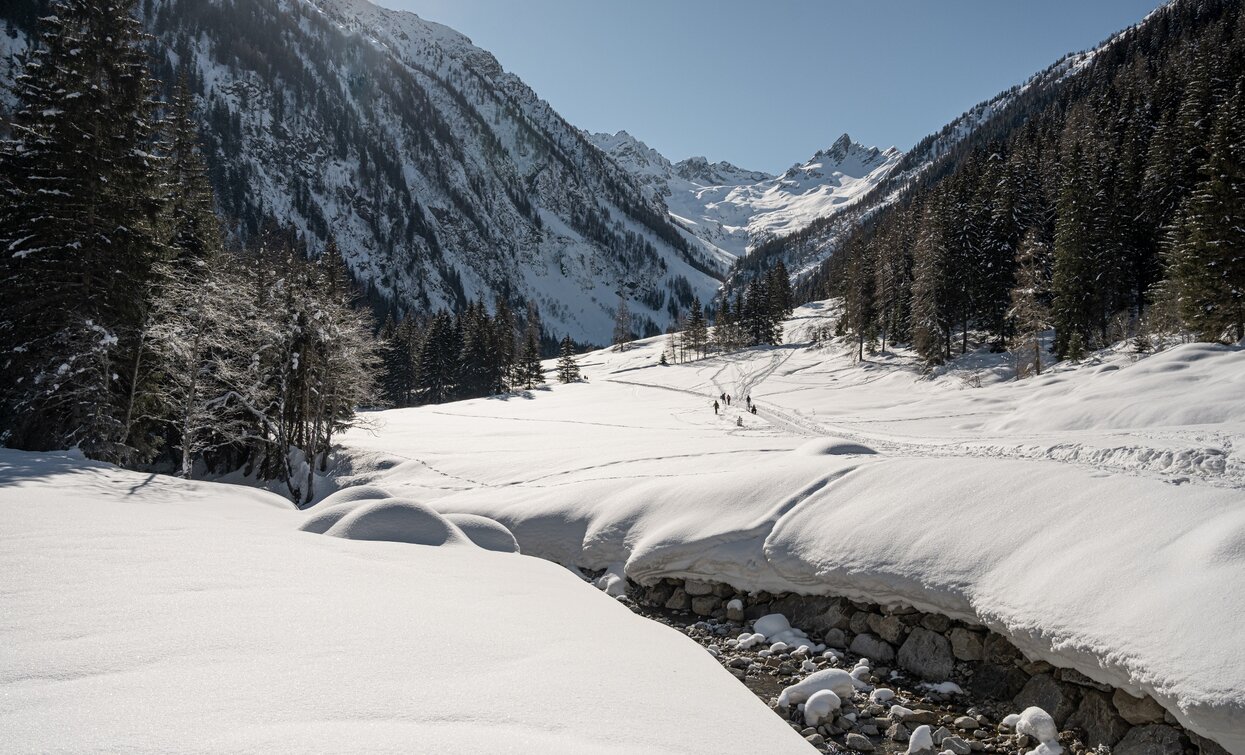 © Elisa Fedrizzi , APT - Valli di Sole, Peio e Rabbi