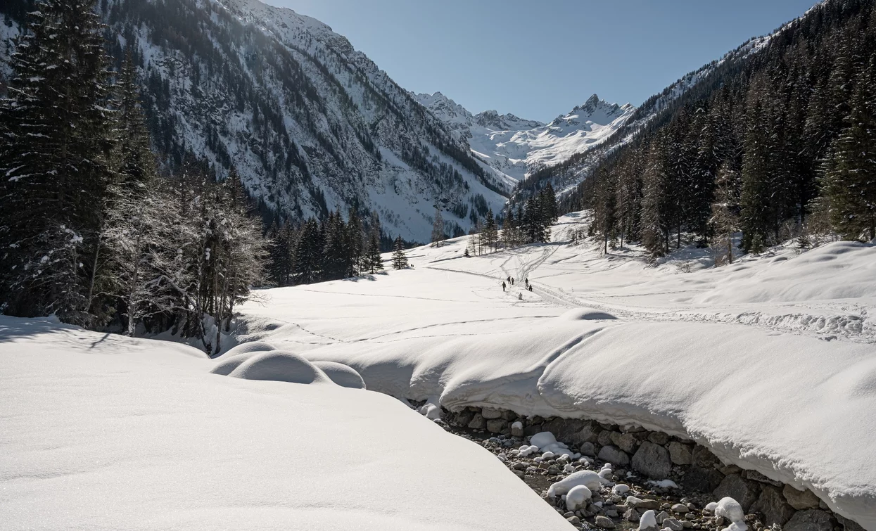 © Elisa Fedrizzi , APT Valli di Sole, Peio e Rabbi