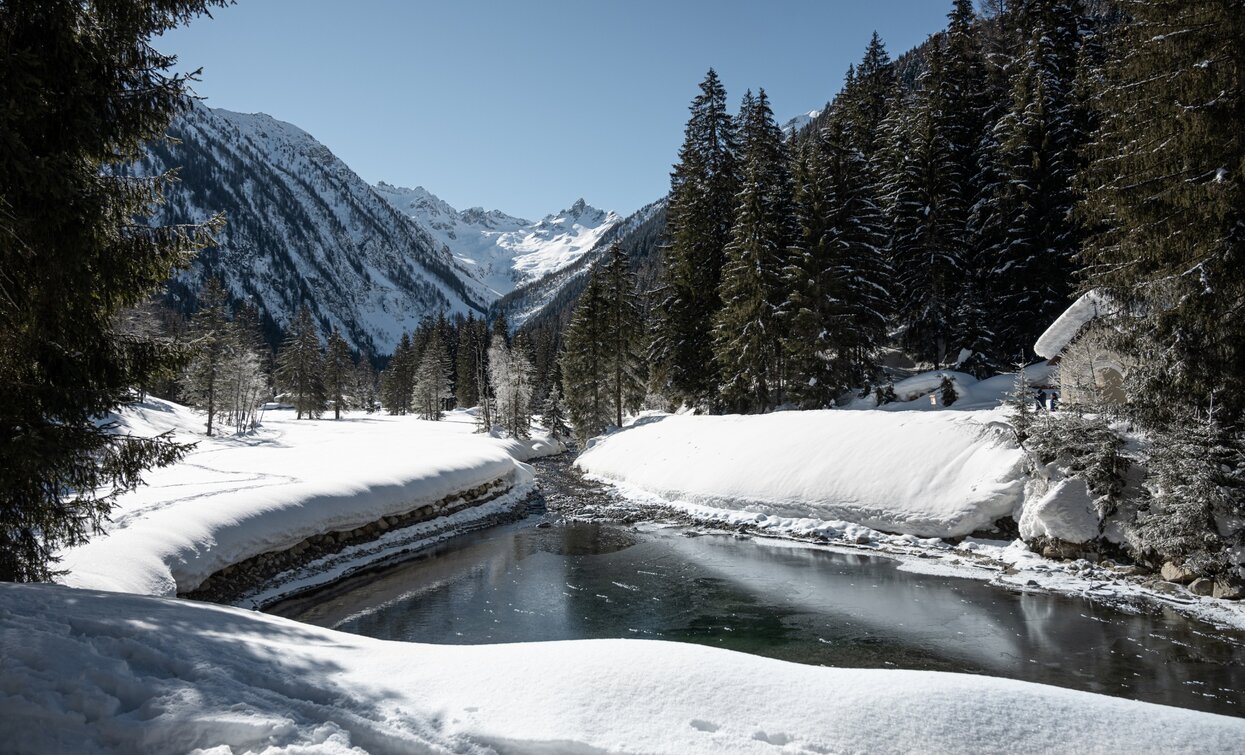 Valpiana | © Elisa Fedrizzi , APT - Valli di Sole, Peio e Rabbi