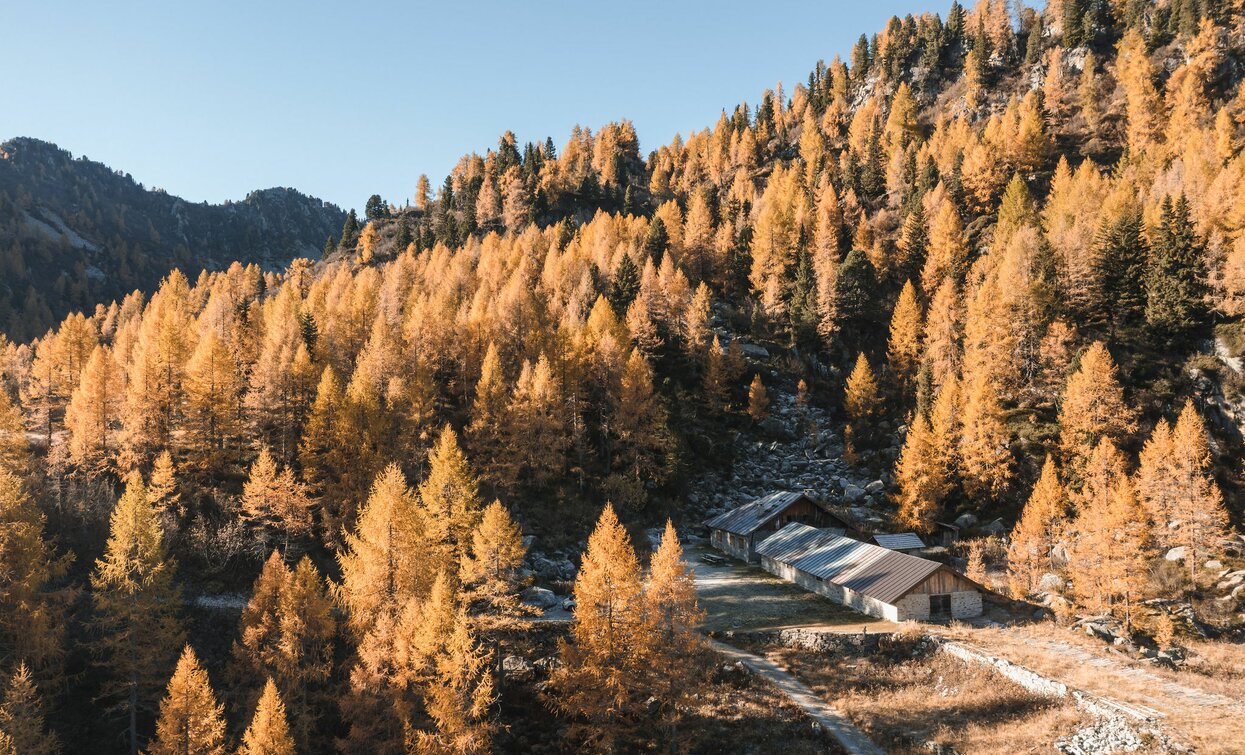 Malghet di Mezzana | © Giacomo Podetti, APT Valli di Sole, Peio e Rabbi