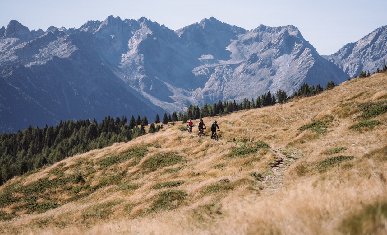 Panorama auf die Presanella | © Alice Russolo, APT - Valli di Sole, Peio e Rabbi