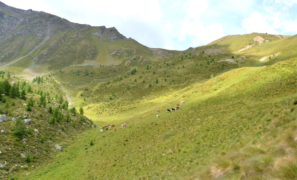 © Azienda Turismo Val di Sole, APT - Valli di Sole, Peio e Rabbi