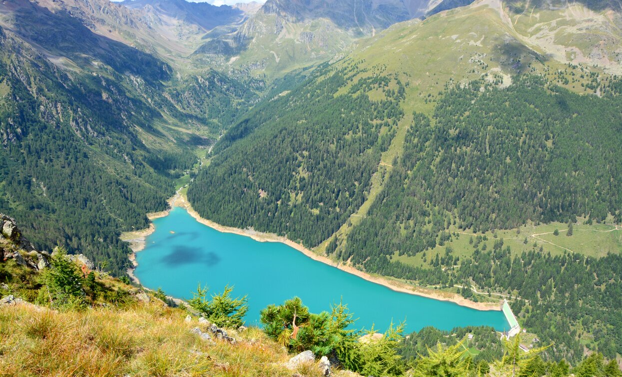 Lago di Pian Palù | © Azienda Turismo Val di Sole, APT Valli di Sole, Peio e Rabbi