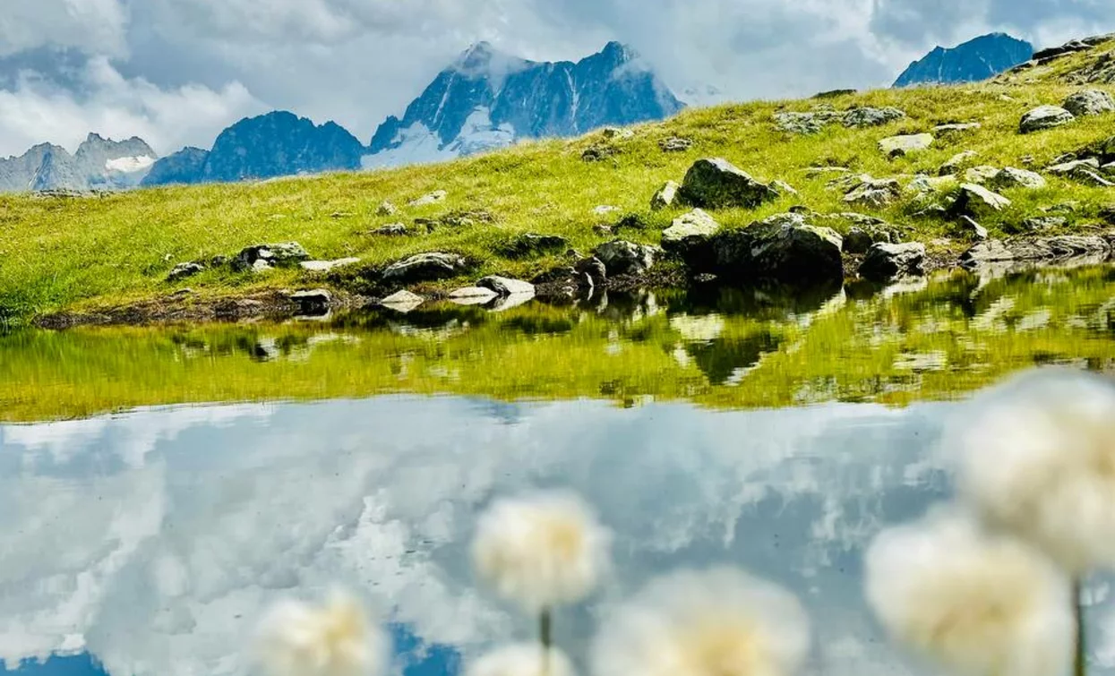 Laghetti di Strino_summer2025_PH. Simone Bertolini_Archivio foto Apt Val di Sole | © Azienda Turismo Val di Sole, APT Valli di Sole, Peio e Rabbi