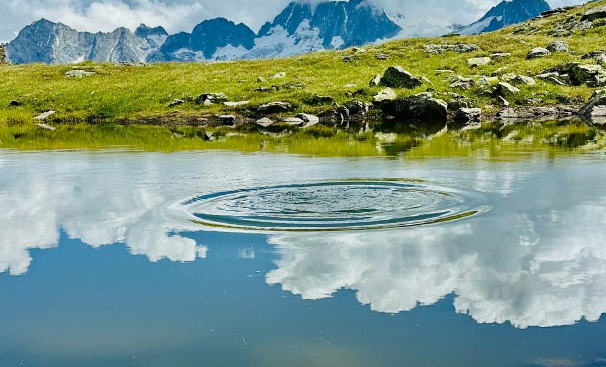 Laghetti di Strino_estate2025_PH. Simone Bertolini_Archivio foto Apt Val di Sole | © Azienda Turismo Val di Sole, APT Valli di Sole, Peio e Rabbi