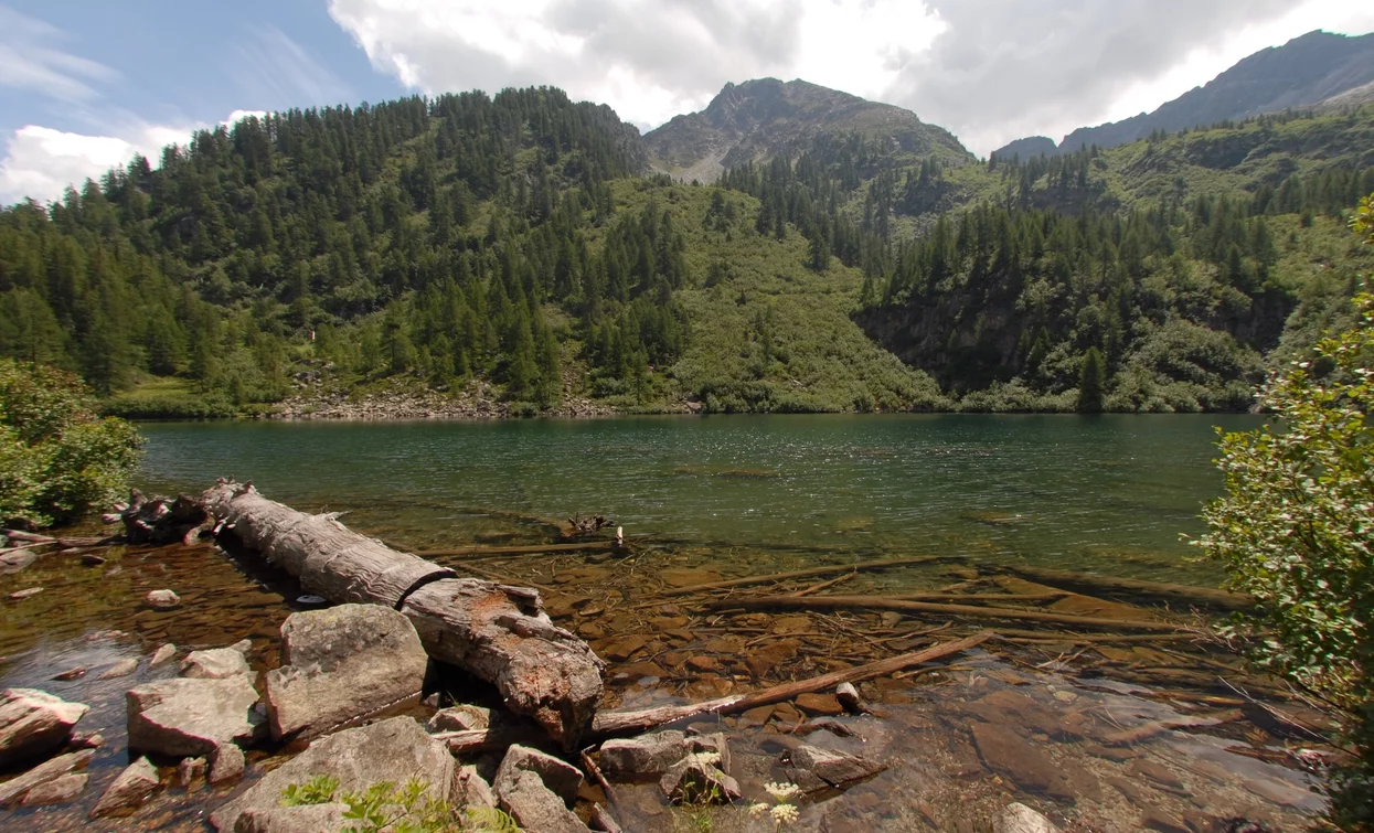 Lago di Barco | © T. Mochen, APT - Valli di Sole, Peio e Rabbi