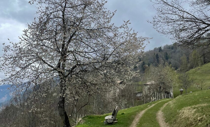 Accomodazione