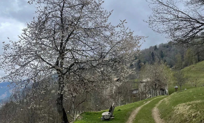 Accomodazione