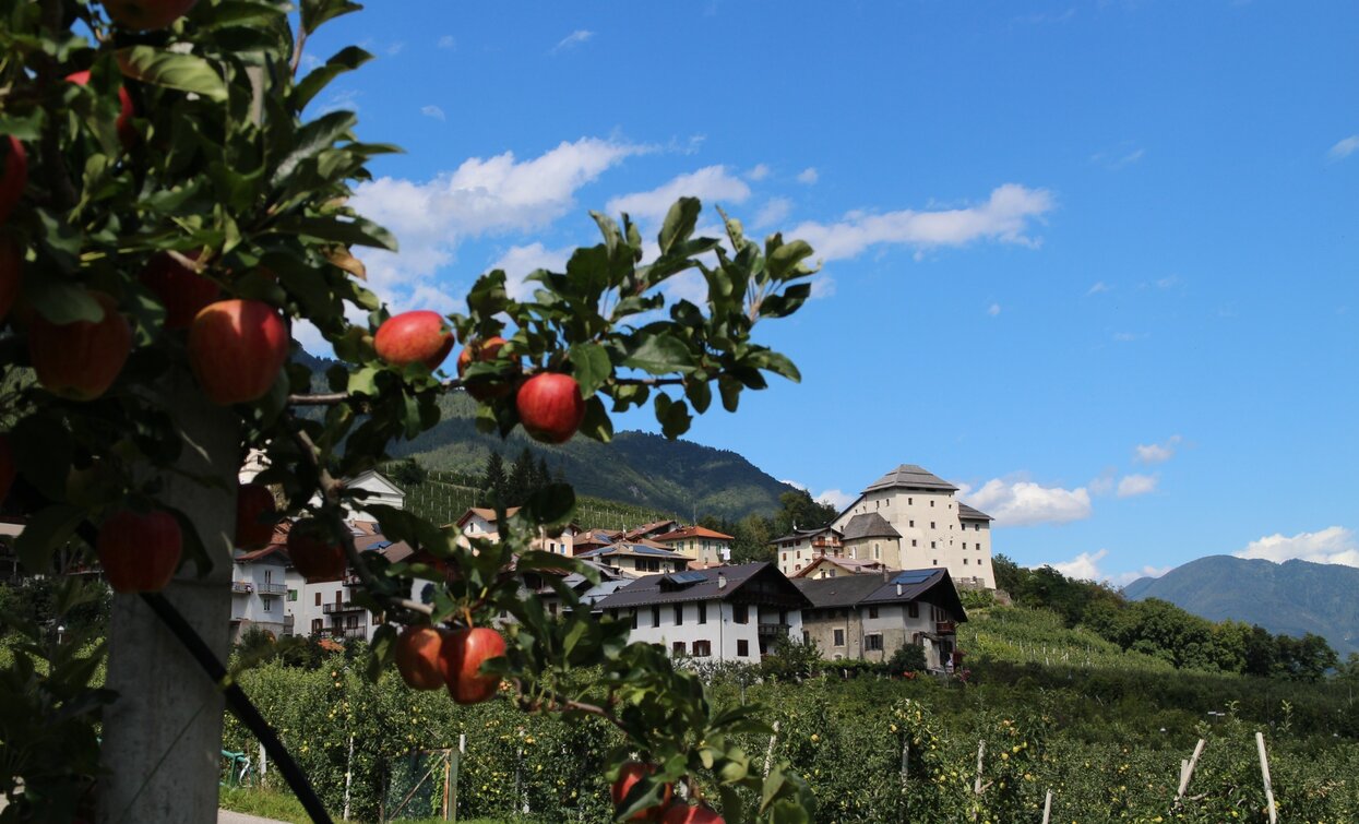 Castel Caldes | © Azienda Turismo Val di Sole, APT Valli di Sole, Peio e Rabbi