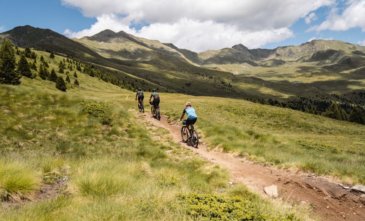 © Alice Russolo, APT Valli di Sole, Peio e Rabbi