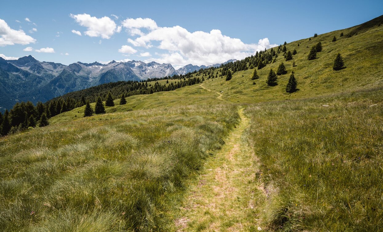 © Alice Russolo, APT Valli di Sole, Peio e Rabbi