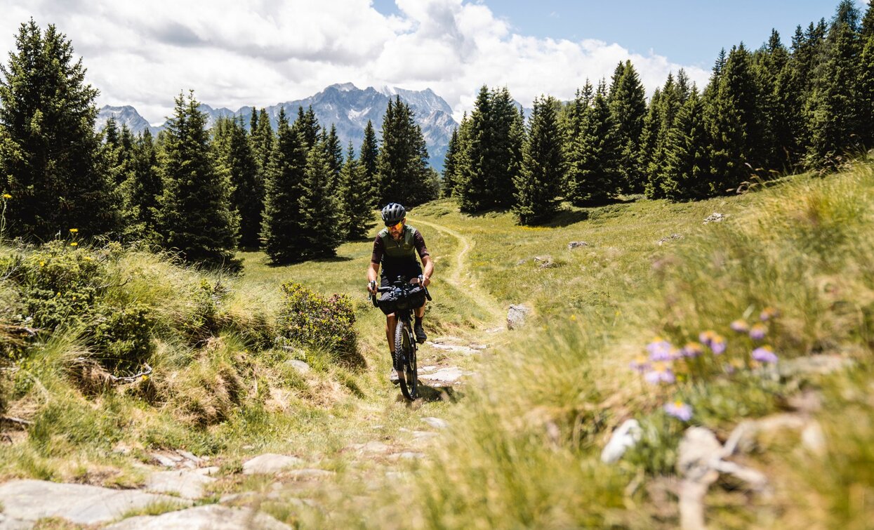 © Alice Russolo, APT Valli di Sole, Peio e Rabbi