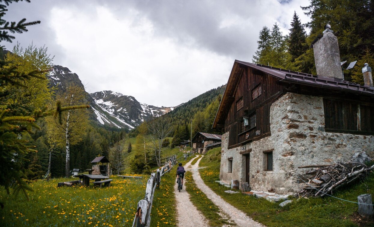 © Michele Minessi, APT - Valli di Sole, Peio e Rabbi