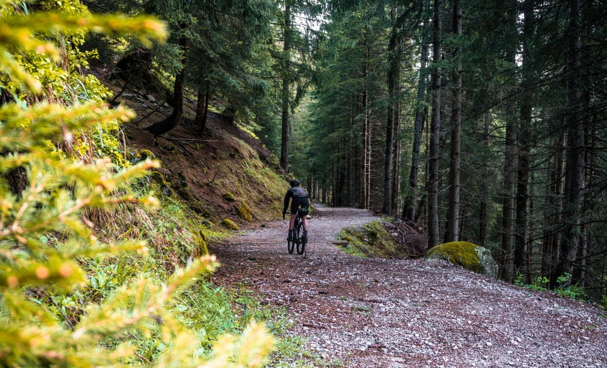 © Michele Minessi, APT - Valli di Sole, Peio e Rabbi