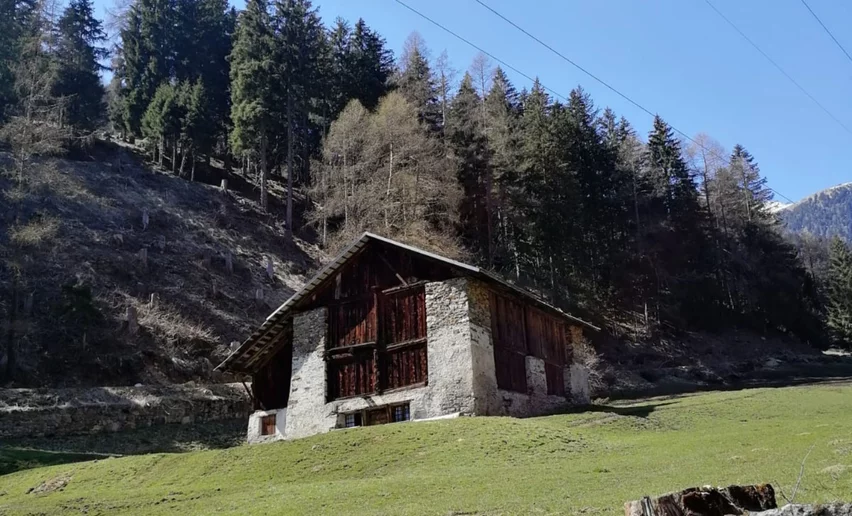 Accomodazione
