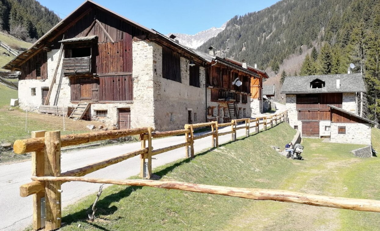 Masi | © Azienda Turismo Val di Sole, APT - Valli di Sole, Peio e Rabbi