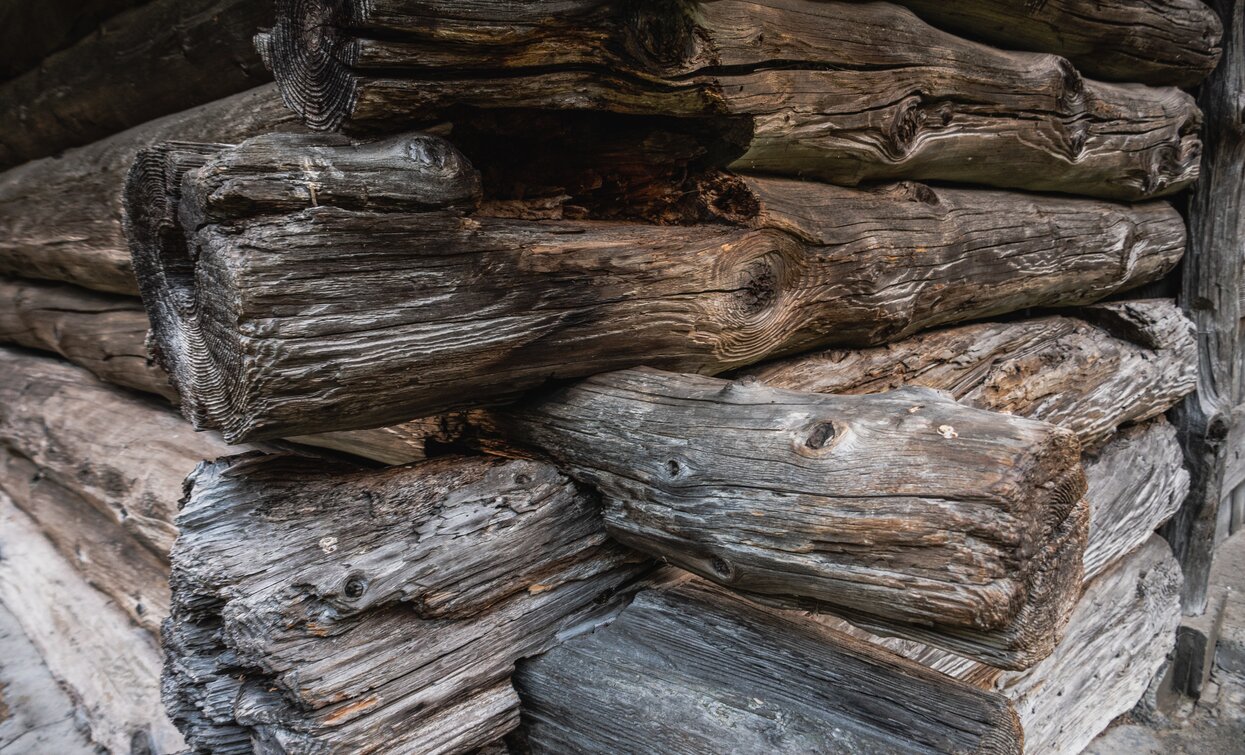 © Parco Nazionale dello Stelvio (settore Trentino)