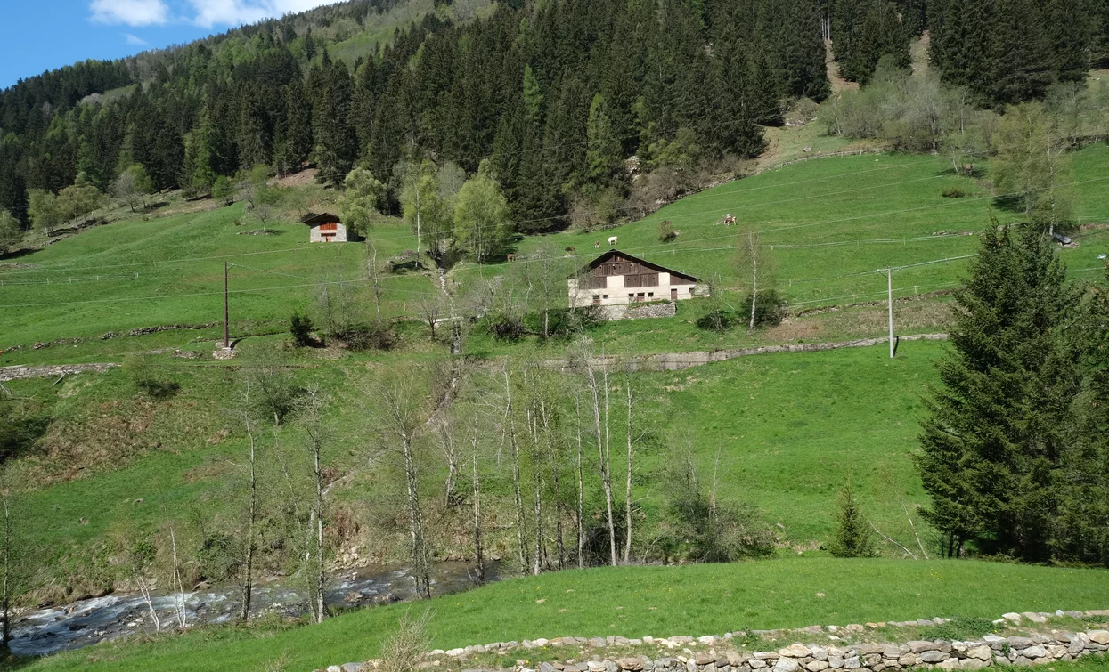 © Parco Nazionale dello Stelvio (settore Trentino)