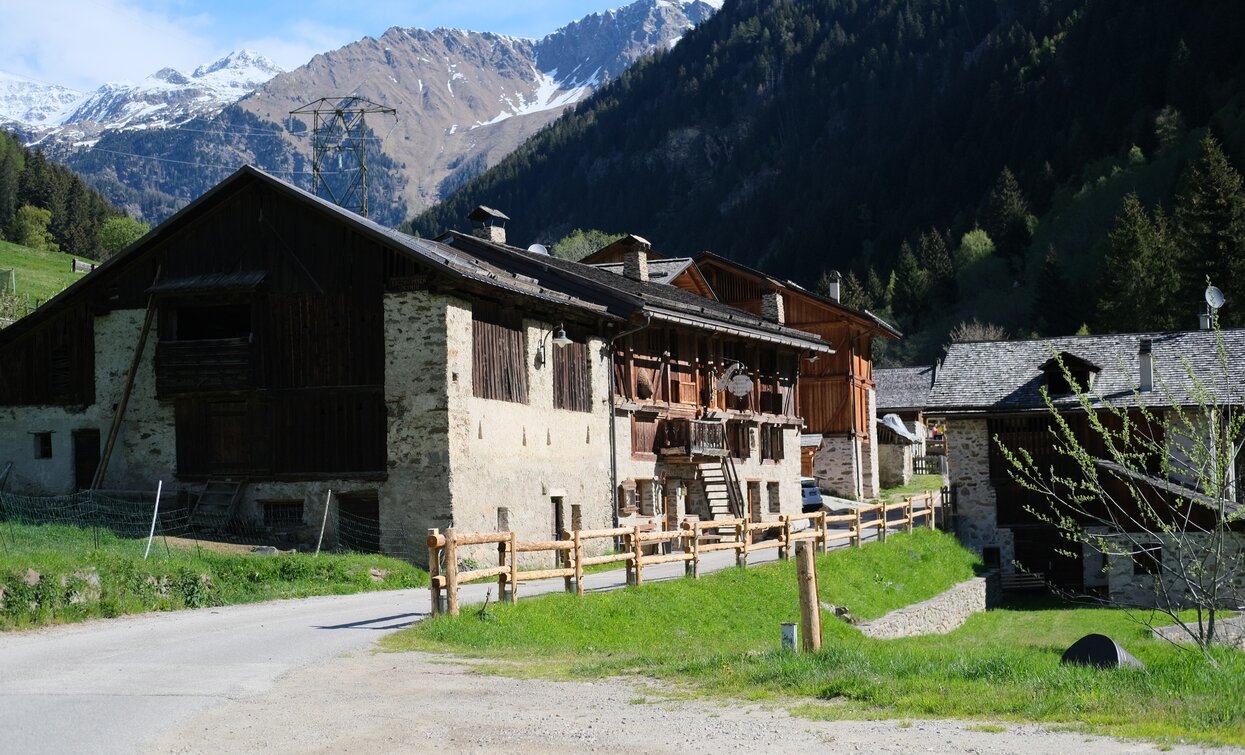 Ortslage Guilnova | © Parco Nazionale dello Stelvio (settore Trentino)