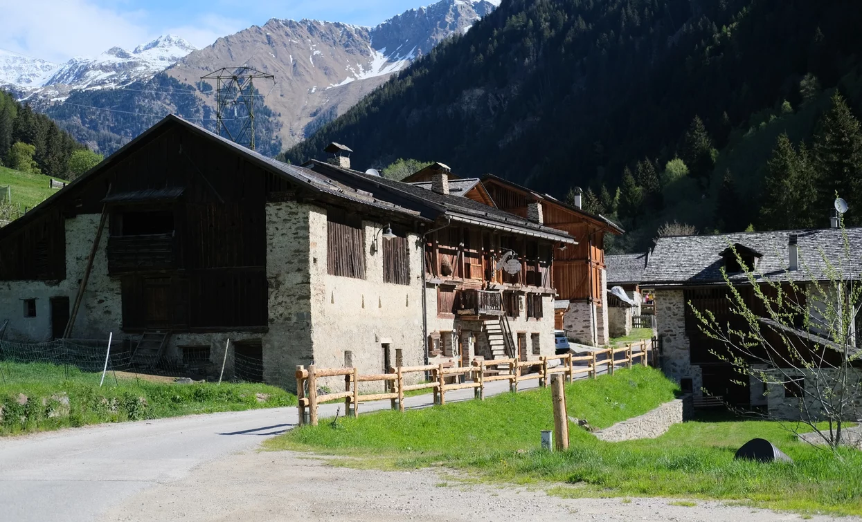 Località Guilnova | © Parco Nazionale dello Stelvio (settore Trentino)
