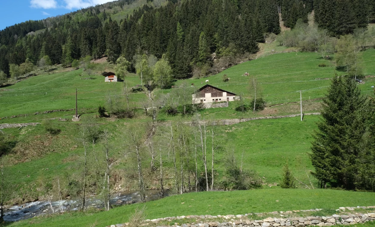 © Parco Nazionale dello Stelvio (settore Trentino)