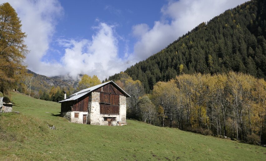 Accomodazione