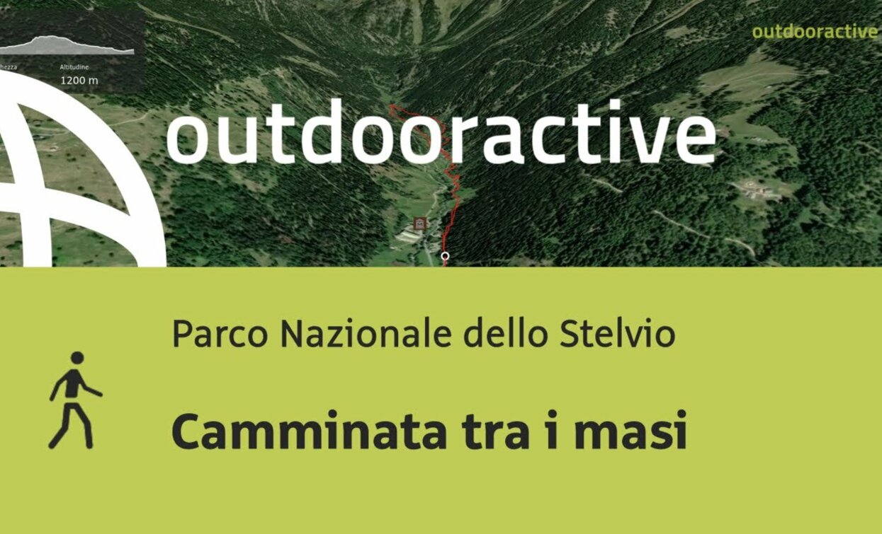 Hike in Stelvio National Park: Walk among the farmsteads | © Outdooractive – Flyover Videos
