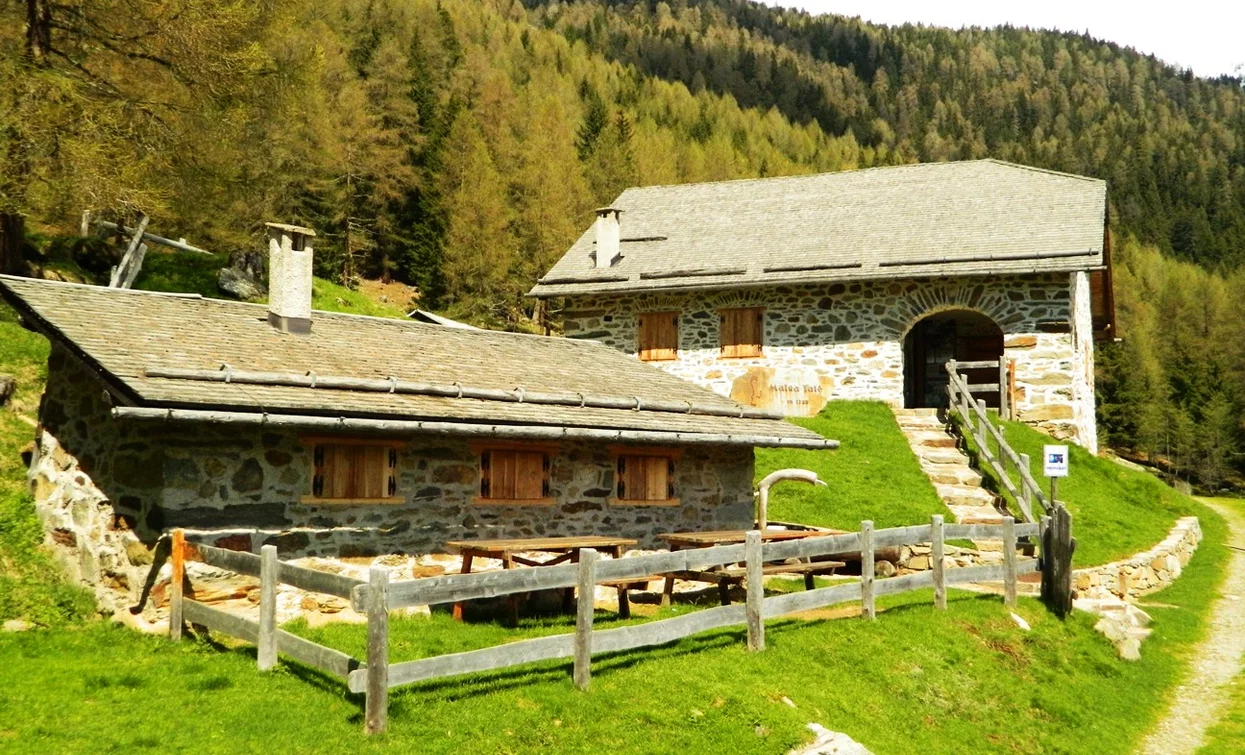 © Dorino Moreschini, Parco Nazionale dello Stelvio (settore Trentino)