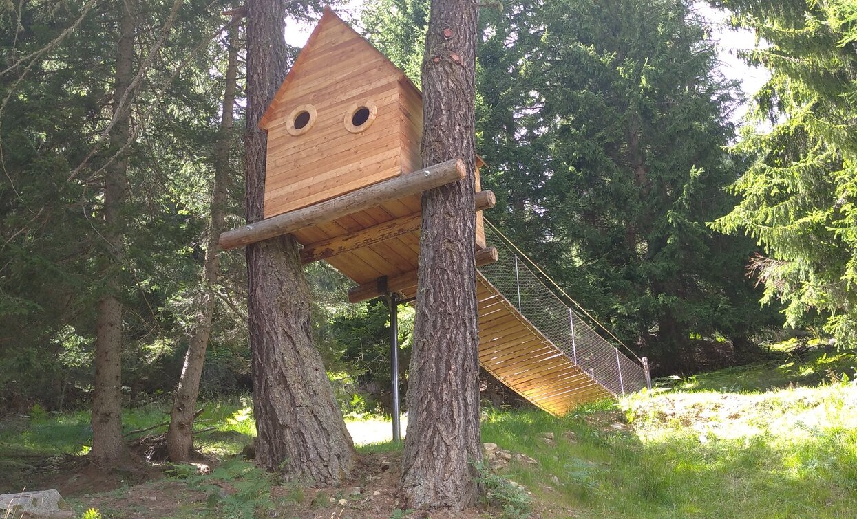 Das Baumhaus | © Parco Nazionale dello Stelvio (settore Trentino)