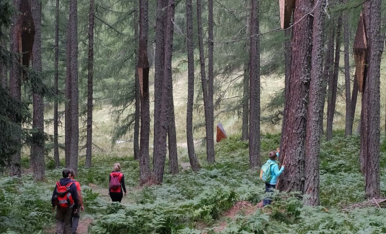 © Parco Nazionale dello Stelvio (settore Trentino)