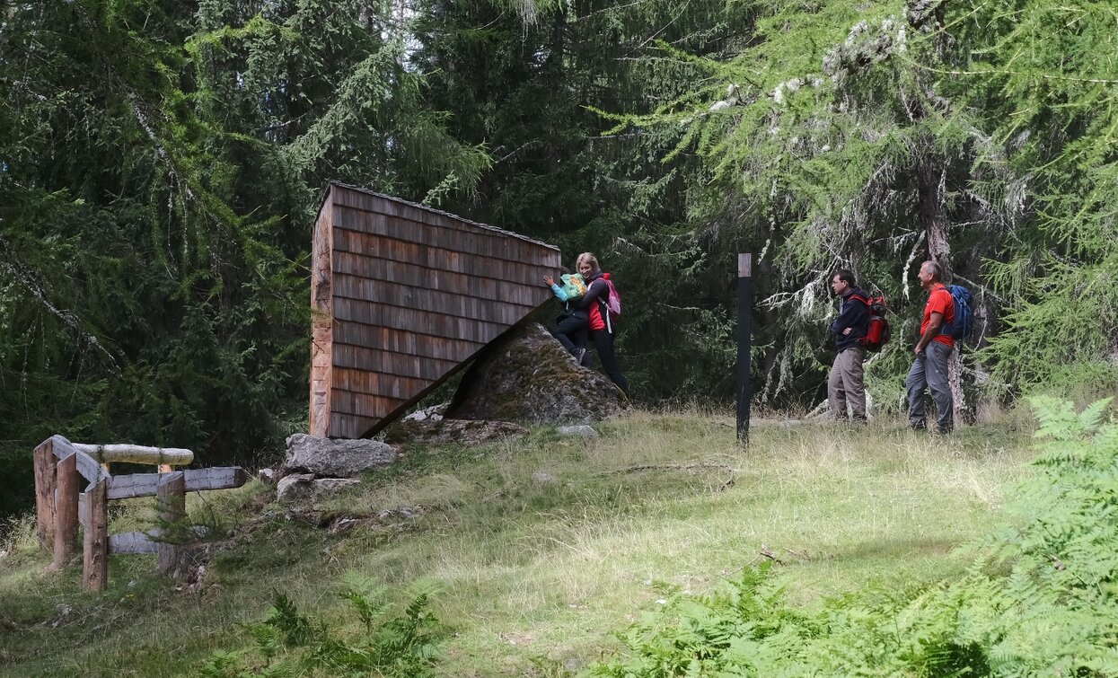 © Parco Nazionale dello Stelvio (settore Trentino)