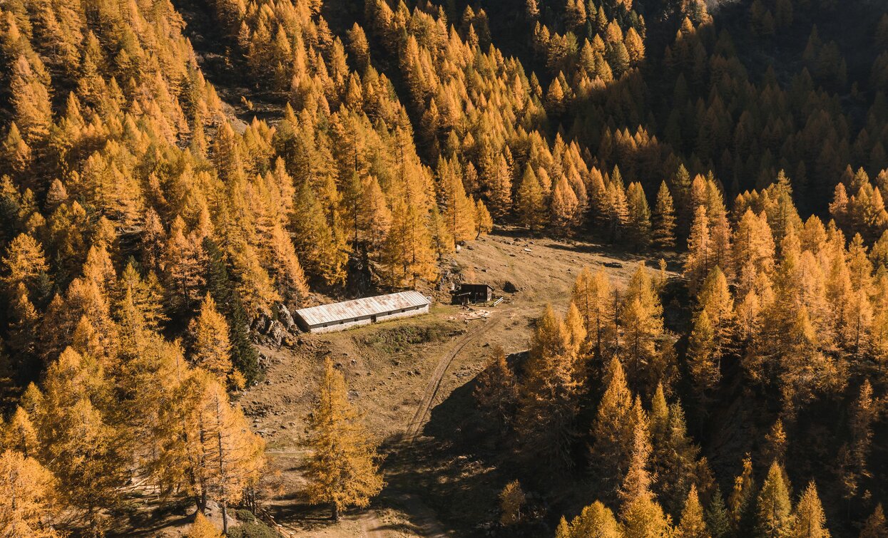 Lake Pian Palù | © Giacomo Podetti, APT Valli di Sole, Peio e Rabbi
