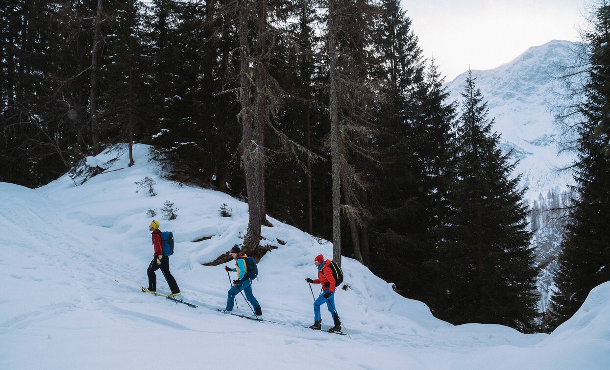 © Azienda Turismo Val di Sole, APT - Valli di Sole, Peio e Rabbi