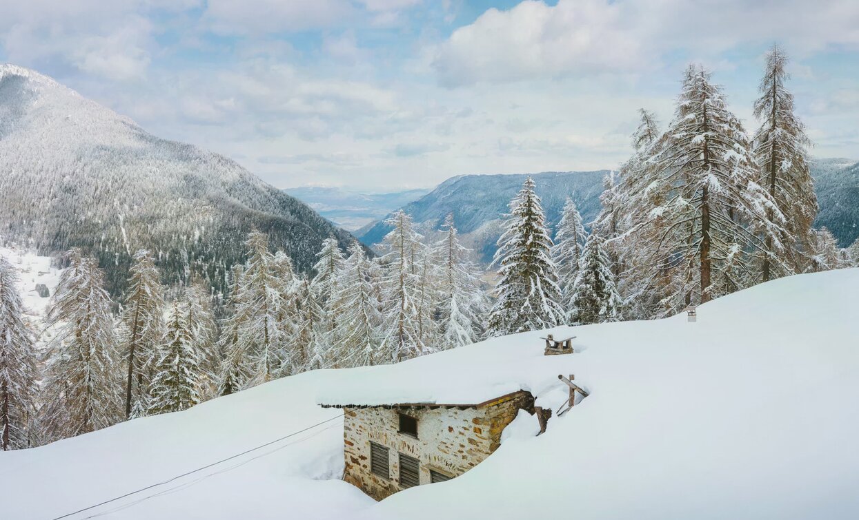 © Nicola Cagol, APT Valli di Sole, Peio e Rabbi