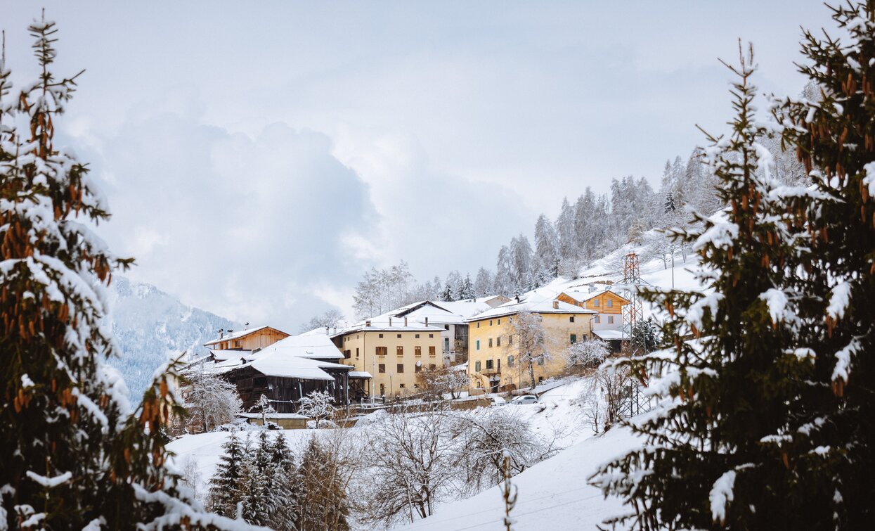 paese di Bolentina | © G. Podetti, APT Valli di Sole, Peio e Rabbi