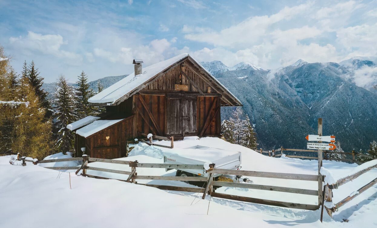 © Nicola Cagol, APT - Valli di Sole, Peio e Rabbi